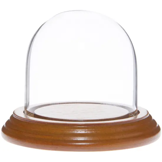 Plymor 3" x 3" Glass Display Dome Cloche Oak Veneer {1}