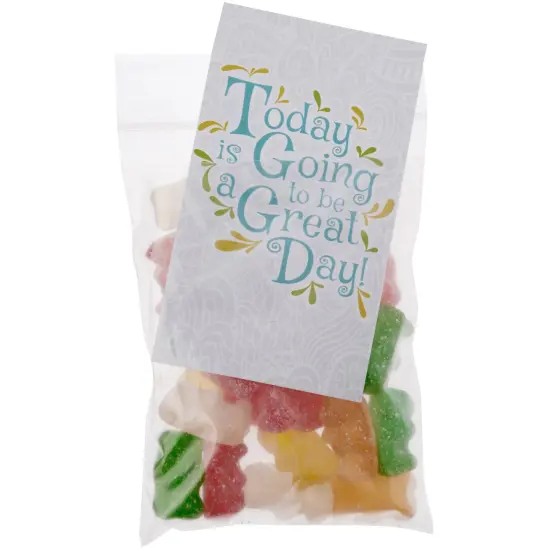 Plymor 3" x 4", 2 Mil with Pouch Zipper Reclosable Plastic Bags {4}