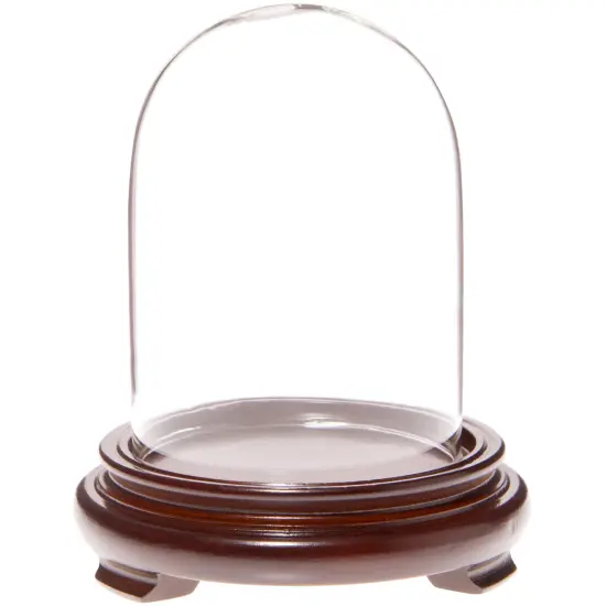 Plymor 3" x 4" Glass Display Dome Cloche Walnut Wood Veneer {1}