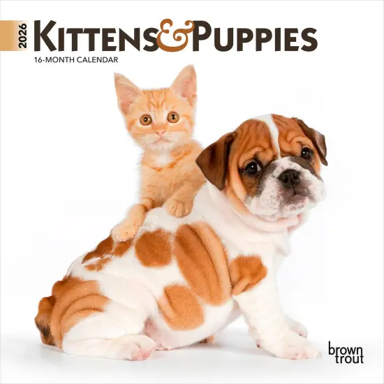 Kittens & Puppies | 2026 7 x 14 Inch (Hanging) Monthly Mini Wall Calendar {1}