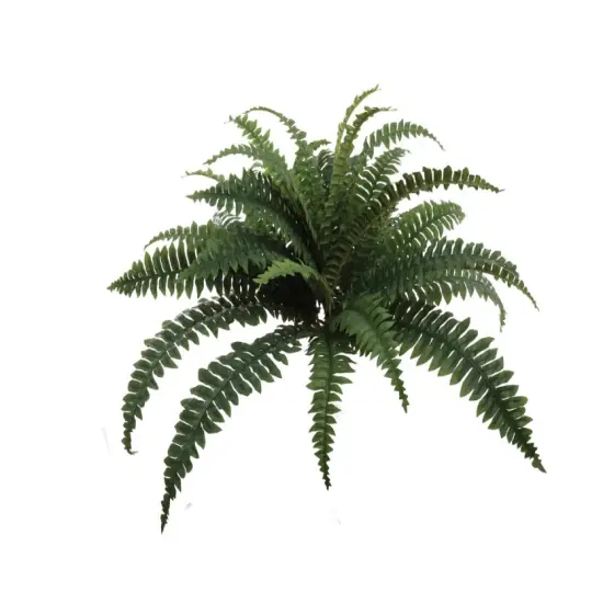 2pcs Boston Fern Plant with 30 Silk Fronds 34" Wide - 2025 Spring Collection {1}