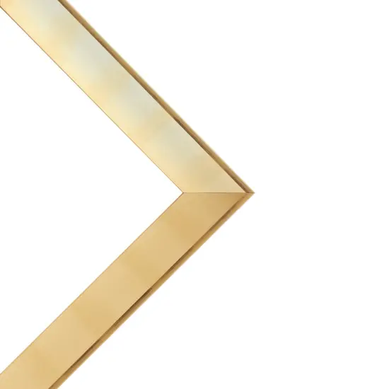 Expositions Open-Back Picture Frames For Paintings, Photos & Prints - With Gold, 18x24" - Gallery Wall Frame- Eco-Friendly Renewal Core -Made in USA {6}