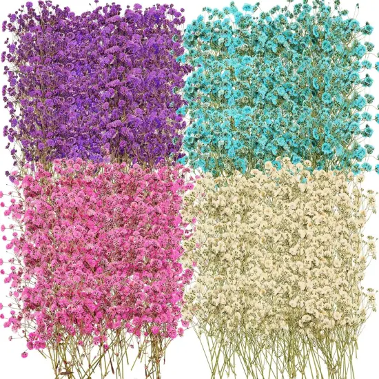 200 Pcs Dried Baby's Breath Flowers Preserved Baby's Breath (4 Colors) {1}