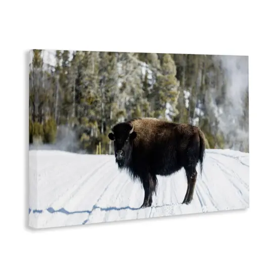 Stupell Industries Bison on Snowy Track Canvas By PIDDIX {3}