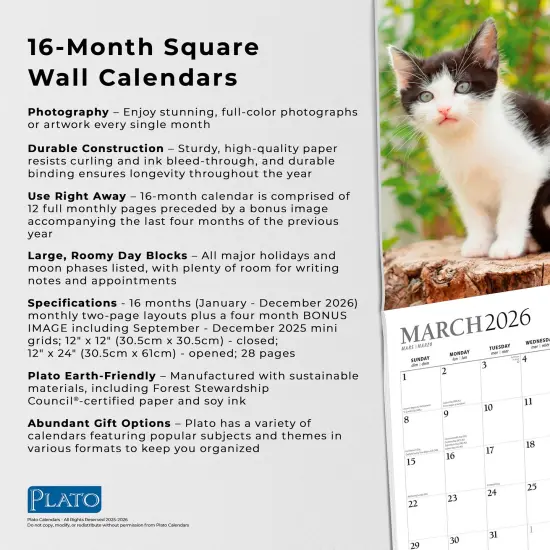 Kitten Cuddles | 2026 12 x 24 Inch (Hanging) Monthly Square Wall Calendar | Foil Stamped Cover {6}