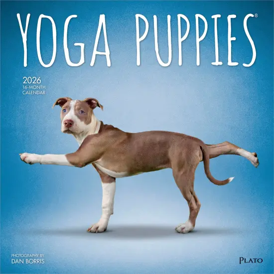 Yoga Puppies OFFICIAL | 2026 12 x 24 Inch (Hanging) Monthly Square Wall Calendar {1}