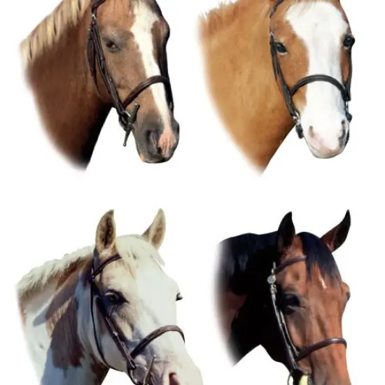 Decorative Stickers - Animals Bargain Bundle {5}