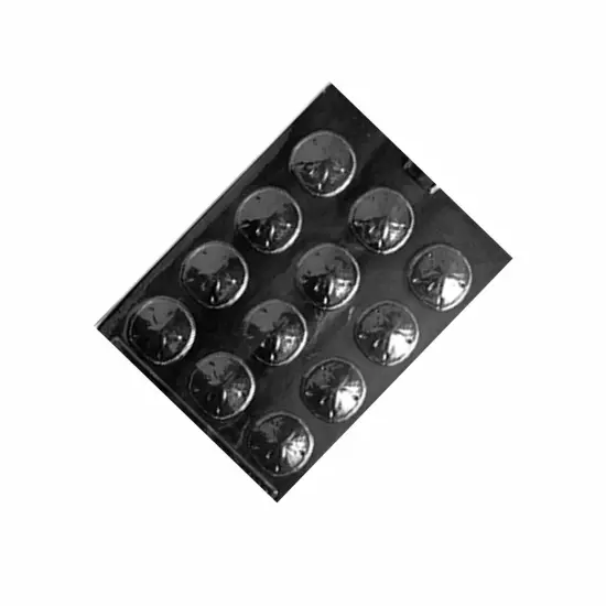 Sand Dollar Bite Size Chocolate Mold {5}