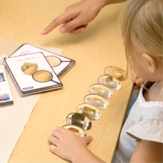 Kaplan Early Learning Company Specimen Stones: Fossils - 9 Stones {3}