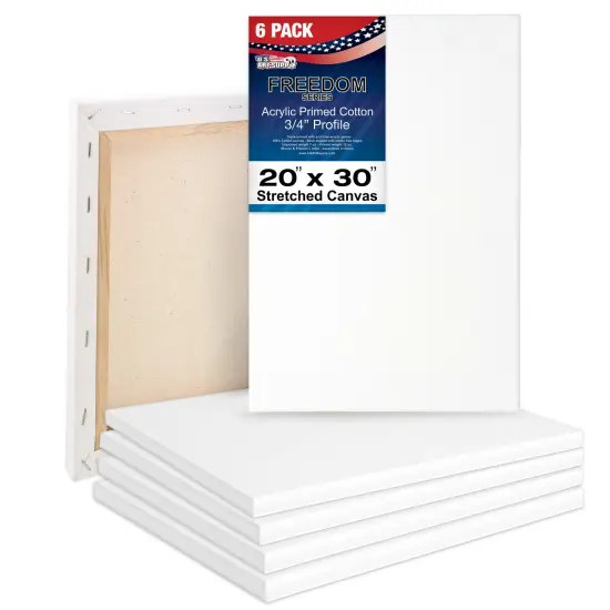 20 x 30 inch Stretched Canvas 12-Ounce Triple Primed, 6-Pack - Professional Artist Quality White Blank 3/4" Profile, 100% Cotton, Heavy-Weight Gesso {1}