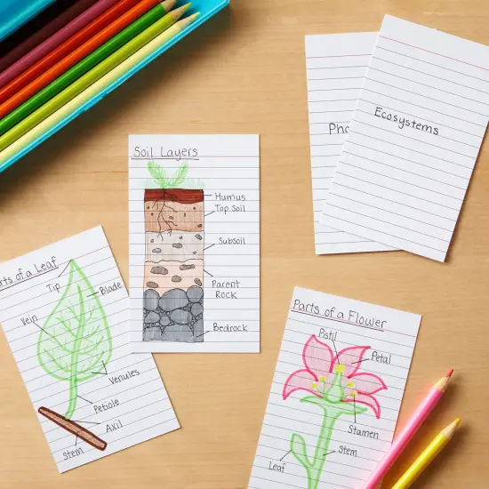 300 Pack Vertically Ruled Index Cards, Vertical Lined Paper Note Cards, Portrait Style (3 x 5 In) {3}