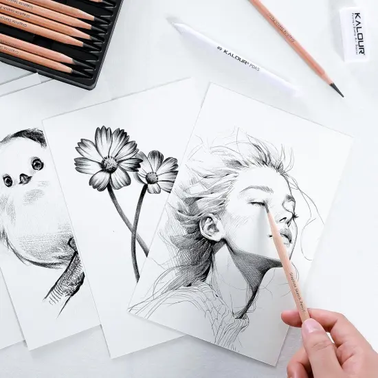 18-Piece Professional Sketch Pencil Set - Includes 5H to 14B Pencils,Graphite, Vinyl Eraser, Kneaded Eraser,Sharpener and Paper Blending Stump - Ideal for Artists and Beginners {5}