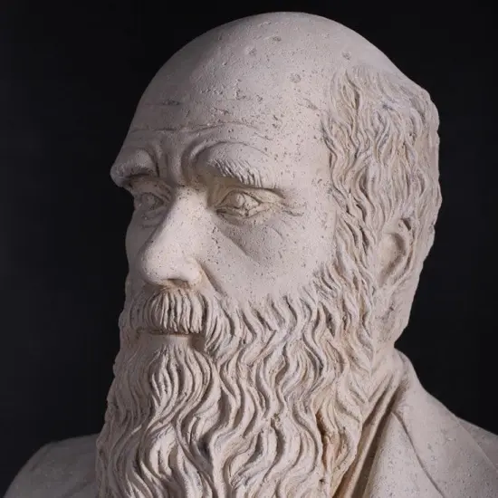 Darwin Stone Bust Life Size Statue {6}