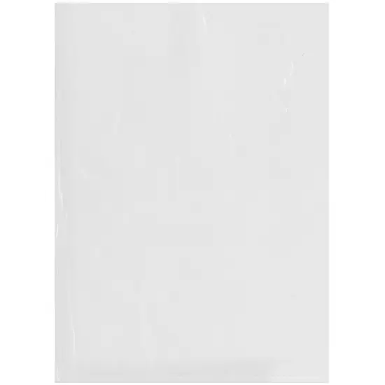 Plymor 13" x 18", 2 Mil Flat Open Clear Plastic Poly Bags {1}
