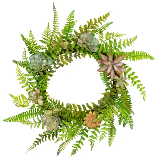 Northlight Succulents and Foliage Artificial Spring Twig Wreath, Green - 22-Inch {3}