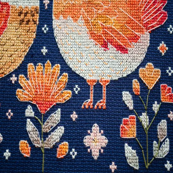 Counted Cross-stitch kit - Best hen friends {5}