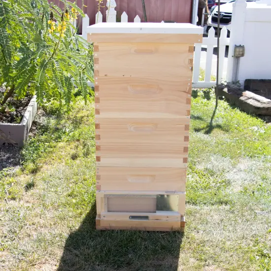 Stoney Acres Robbing Screen for Beehive, Beekeeping Equipment to Prevent Hive Robbing, Easy to Install, Fits 10-Frame Langstroth Hives {4}