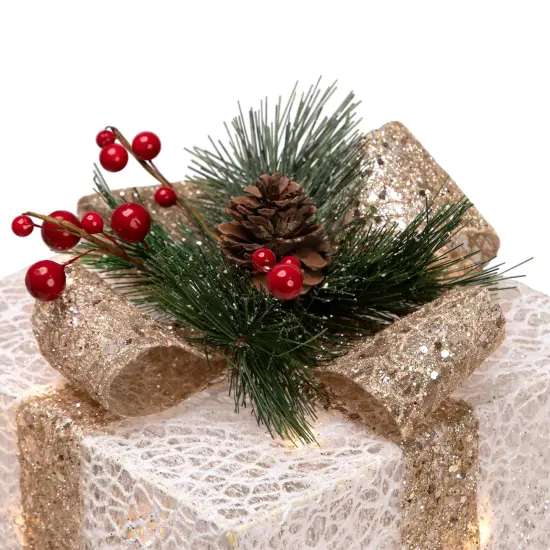 Northlight Set of 3 Silver Mesh Glittered Gift Boxes Outdoor Decorations {7}