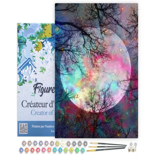 Figured'Art Paint by Numbers for Adults with Frame Full Moon with Colourful reflections 16"x20" - Craft Art Painting DIY Kit Canvas Already Stretched on a Wooden Frame {1}