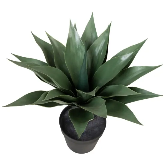 Northlight Potted Artificial Agave Plant - 18" Green {6}