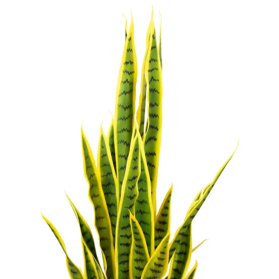Northlight Artificial Potted Snake Plant - 38" Green {5}