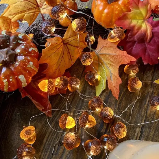3D Twinkle Acorn Fall Decorations Harvest String Lights {5}