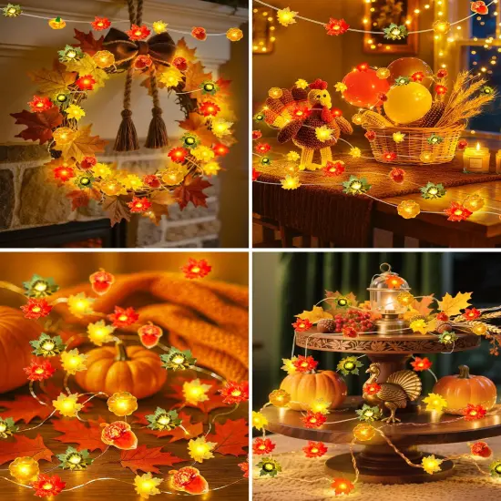 3D Pumpkin Maple Leaf Acorn Fairy String Lights {5}