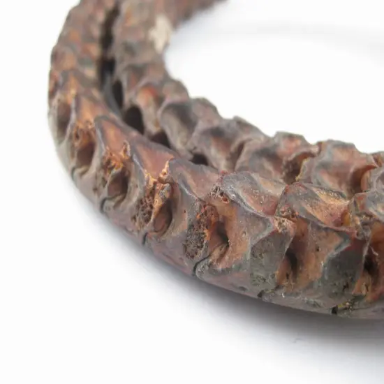 The Bead Chest Real Snake Vertebrae Beads from Africa Large 14mm Nigeria African Brown Interlocking Bone Large Hole 32-34 Inch Strand Handmade {1}