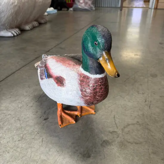 Male Mallard Duck Statue {5}