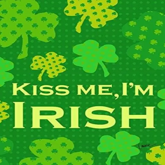 Irish Kiss Flag St Patricks Banner Decorative {1}