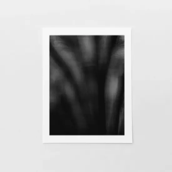 Dark Tropical Abstract Palm Silhouette Print {2}