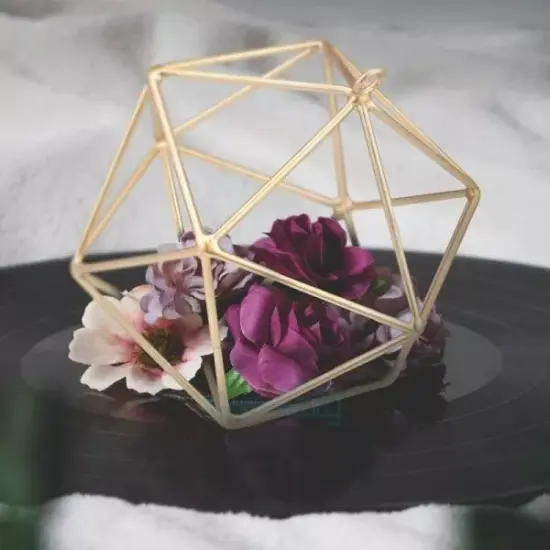 2Pack Metal Geometric Hanging Air Plant Holder Rack Air Pineapple Iron Hanging {4}