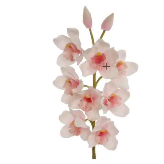 Light Pink 30" Cymbidium Orchid Stem {1}