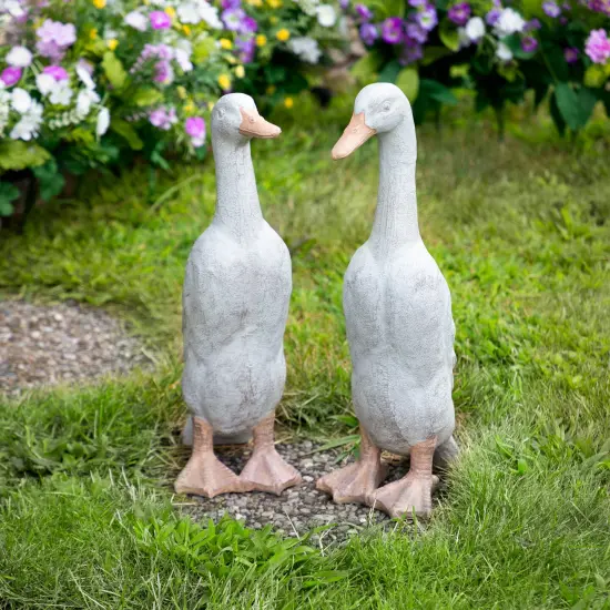 Northlight Ducks Outdoor Garden Statues - 17.25" - Set of 2 White {1}