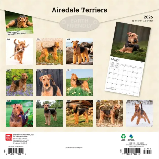 Airedale Terriers | 2026 12 x 24 Inch (Hanging) Monthly Square Wall Calendar | Plastic-Free {2}