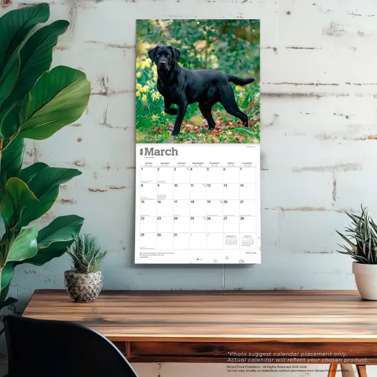 Black Labrador Retrievers | 2026 12 x 24 Inch (Hanging) Monthly Square Wall Calendar | Plastic-Free {5}