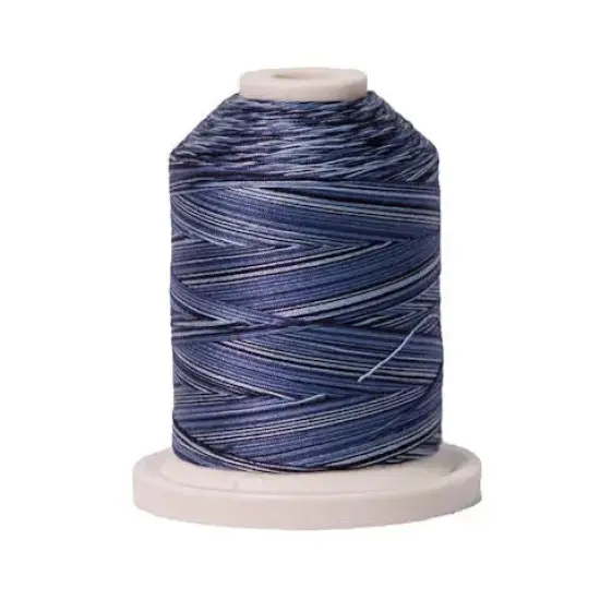 005 Denim Signature Cotton Variegated Thread Mini Spool - 40WT {1}