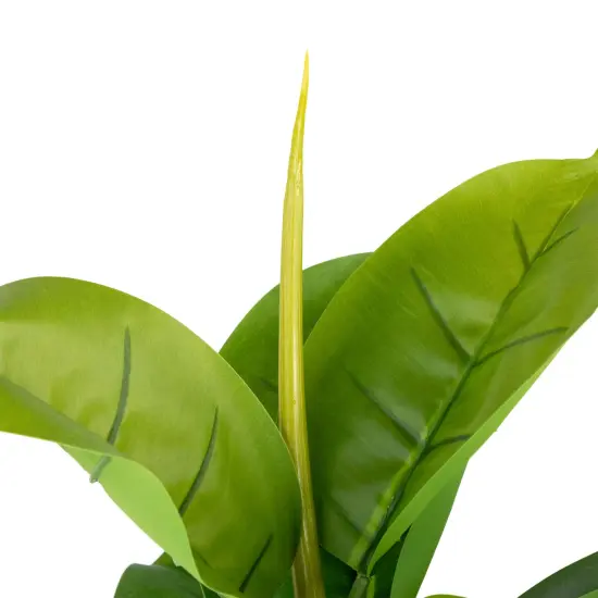 Northlight Artificial Potted Rubber Plant - 51" Green {6}