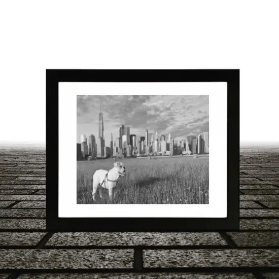 Framed English Bulldog Art with Black and White NYC Skyline {3}