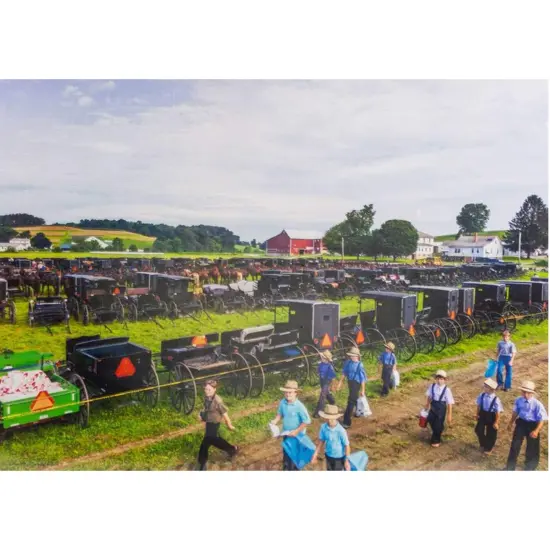 Doyle Yoder Boys & Buggies Amish Scene Jigsaw Puzzle 20 x 27 1000 Pieces {3}