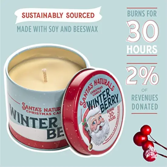 Winterberry Christmas Candle | Warm Cider Fragrance | Notes of Cinnamon, Orange, and Clove | Sustainably Sourced Soy and Beeswax | 30 Hour Burn Time | 9oz | 2 Pack {1}