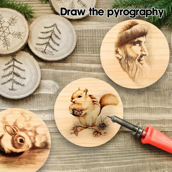 6 Pack 6 Inch Round Wooden Plaque {3}