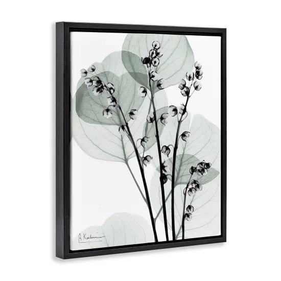 Stupell Industries Fresh Minimalist Herbs Floating Frame Design by Albert Koetsier {9}