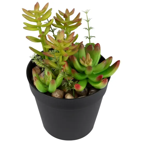 Northlight Artificial Mixed Succulent Plant Arrangement - 8" Green {6}
