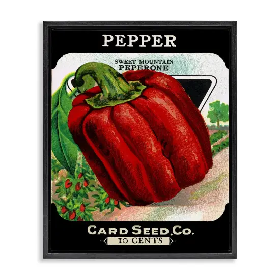 Stupell Industries Vintage Garden Peppers Floating Frame Design by Lil' Rue {1}