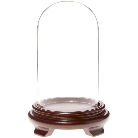 Plymor 4" x 7" Glass Display Dome Cloche Walnut Wood Veneer {1}