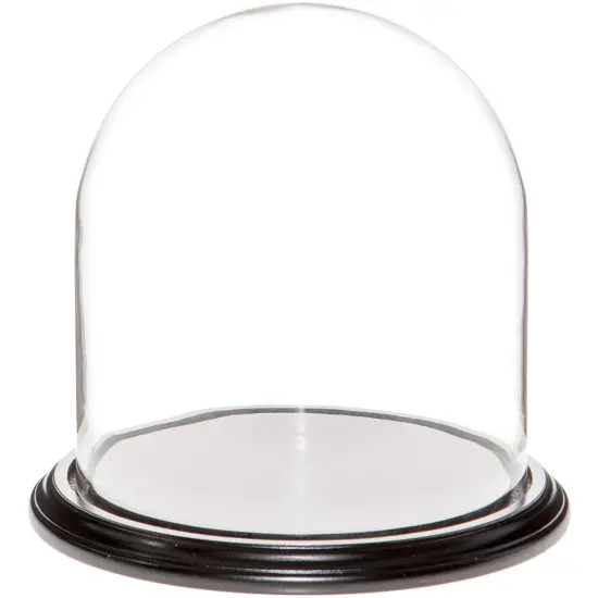 Plymor 9.75" x 10" Glass Display Dome Cloche Black Wood Veneer {1}