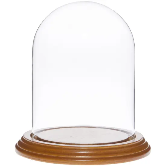 Plymor 4" x 5.25" Glass Display Dome Cloche Oak Veneer {1}