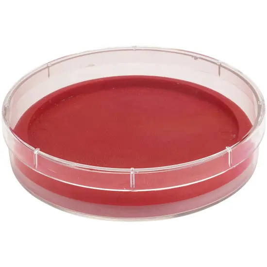 Pioneer Plastics 053C Clear Round Petri Dish Plastic Container, 4.6875" W x 1" H {5}