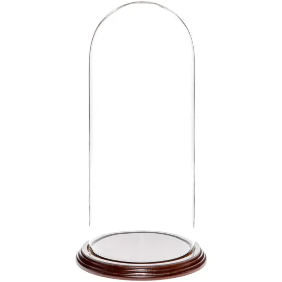 Plymor 5.5" x 13" Glass Display Dome Cloche Dark Mahogany Veneer {1}